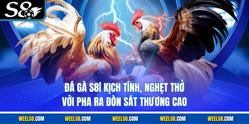 Đá gà S8| Kịch Tính, Nghẹt Thở Với Pha Ra Đòn Sát Thương Cao