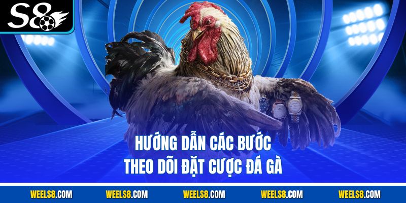 Hướng dẫn các bước theo dõi đặt cược đá gà