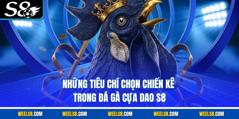 Những tiêu chí chọn chiến kê trong đá gà cựa dao S8